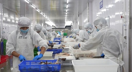 曹縣 開足馬力忙生產，食品產業煥發新活力